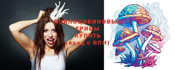 прущие крисы Алексин