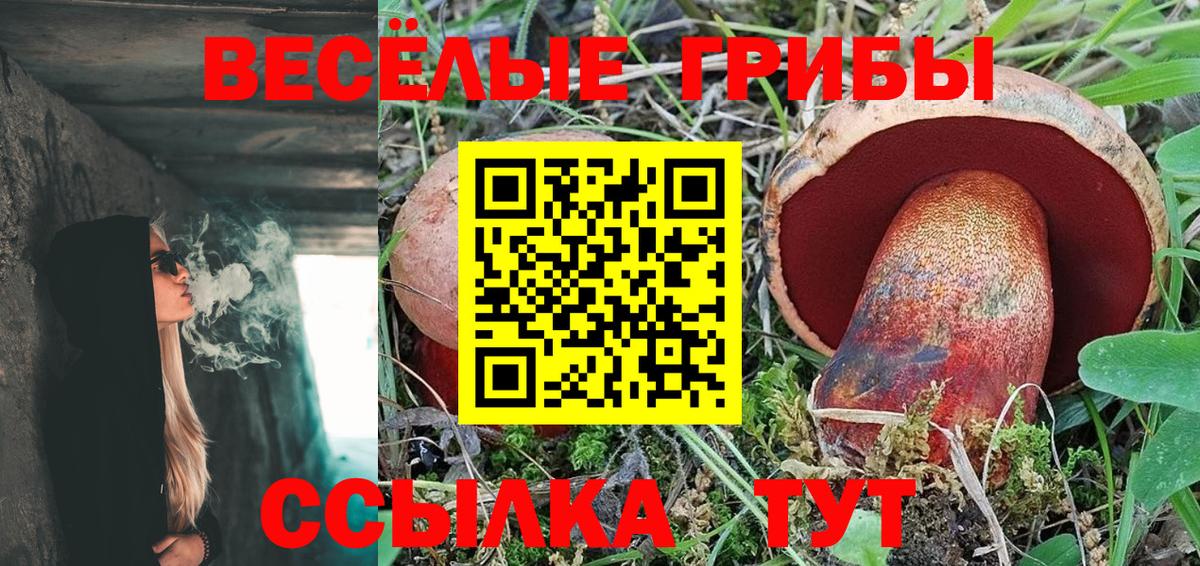 Галлюциногенные грибы Magic Shrooms  Вход с VPN  Павловский Посад 