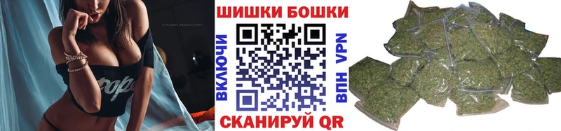 Конопля семена  купить закладку  Павловский Посад 